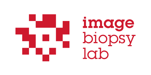 imagebiopsy-lab